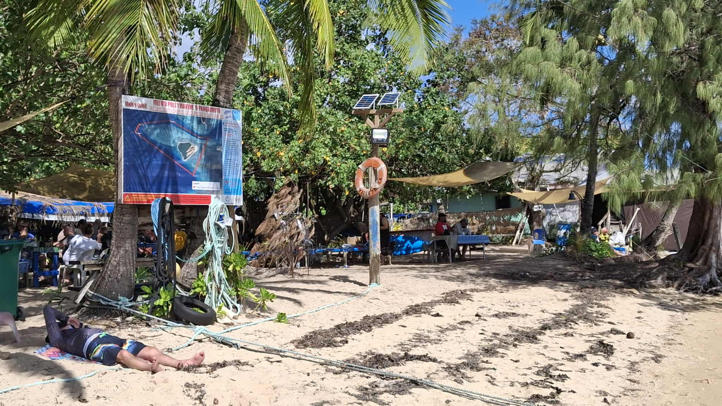 A sandy beach scene with palm trees, a life preserver on a pole, a large shark poster, and several people relaxing under shade tents and trees.