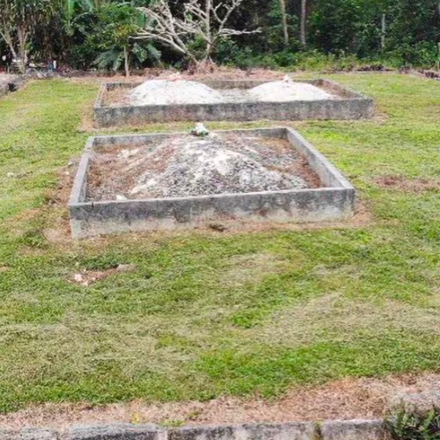 East Coast Tour & Cave Pool Swim