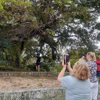 Lady taking photo of flying foxes in a tree