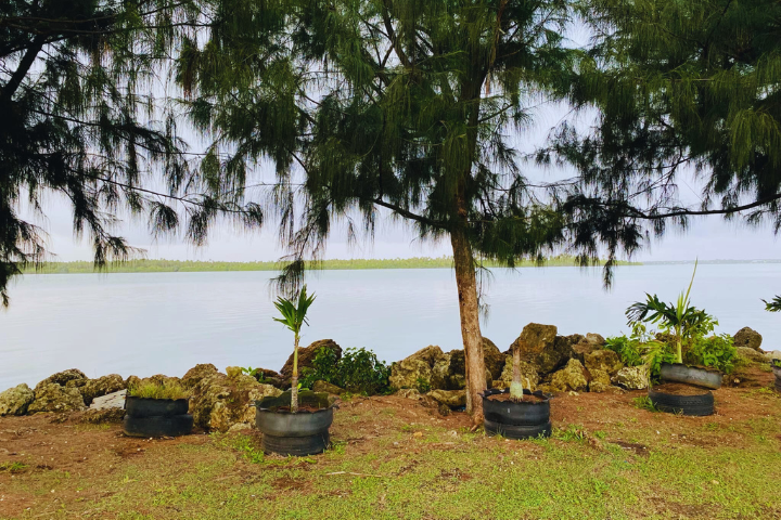 View of lagoon and palm trees