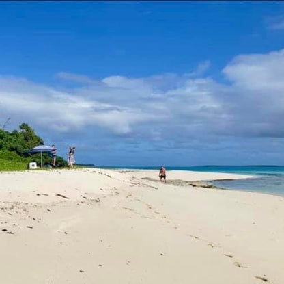 A tropical beach scene with white sand, palm trees, green foliage, blue sky with clouds, and turquoise water. A small person is visible walking near the shoreline, and the beach setting fills the frame.