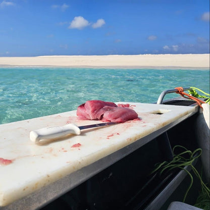 Raw red fish fillets on a white cutting board with a knife, set on the edge of a boat with turquoise ocean water and a sandy beach under a blue sky in the background.